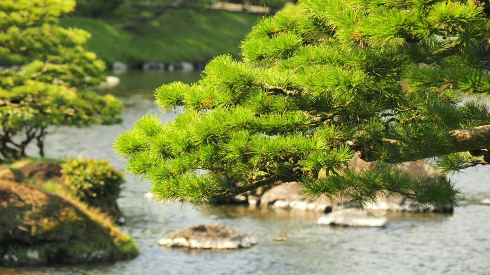 Toyoko Inn Kumamoto Shin-Shigai Zewnętrze zdjęcie